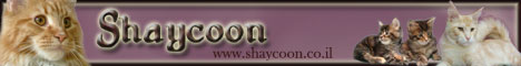 Shay Coons Banner, Israel